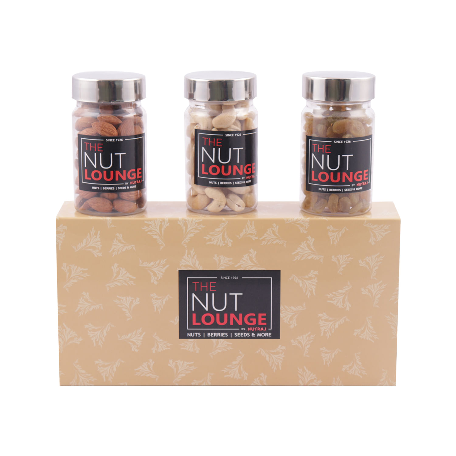Nutraj Mixed Dry Fruit Gift Pack 300g - (Almond 100g, Cashew 100g, Raisin 100g)