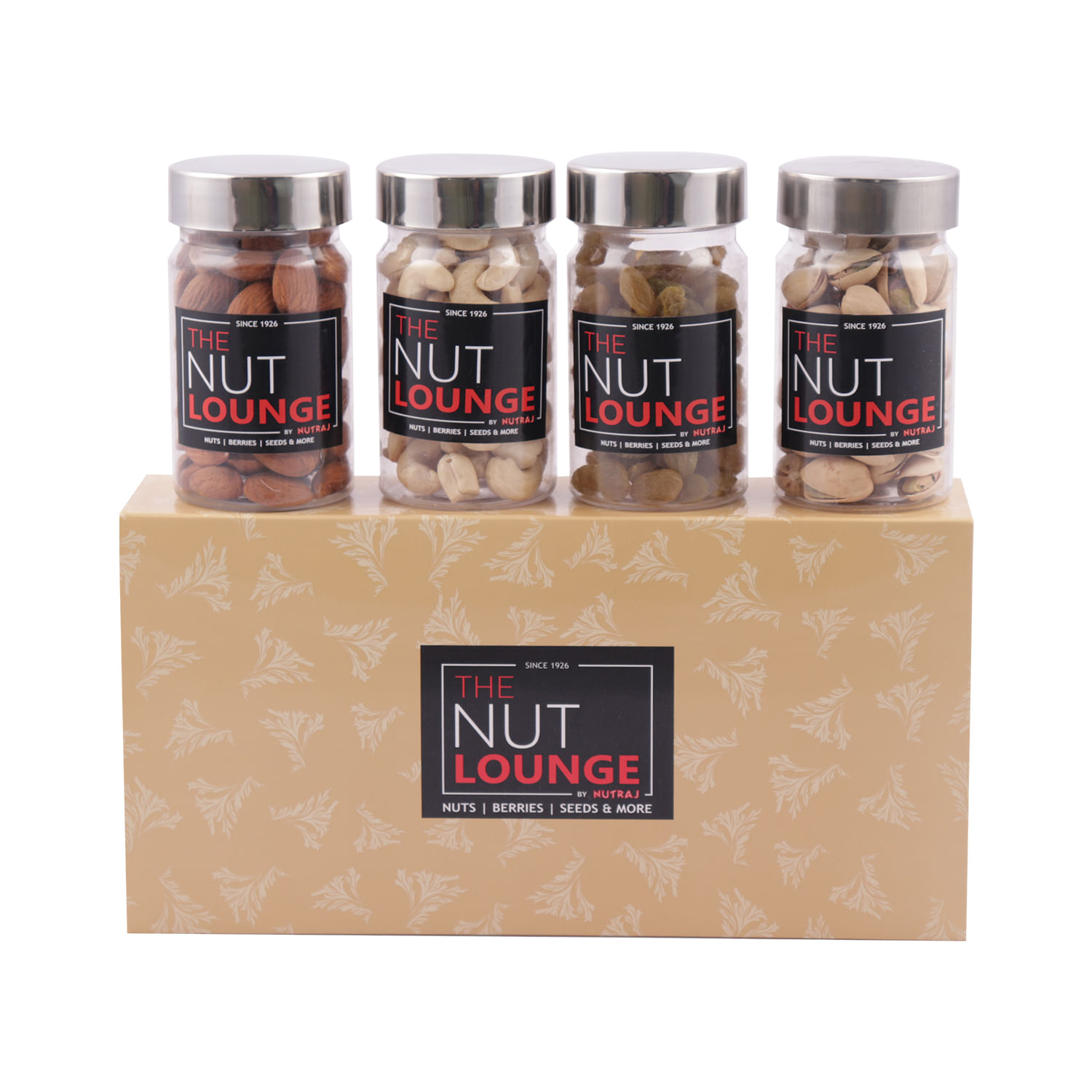 Nutraj Mixed Dry Fruit Gift Pack 400g - (Almond 100g, Cashew 100g, Raisin 100g, Pistachio 100g)