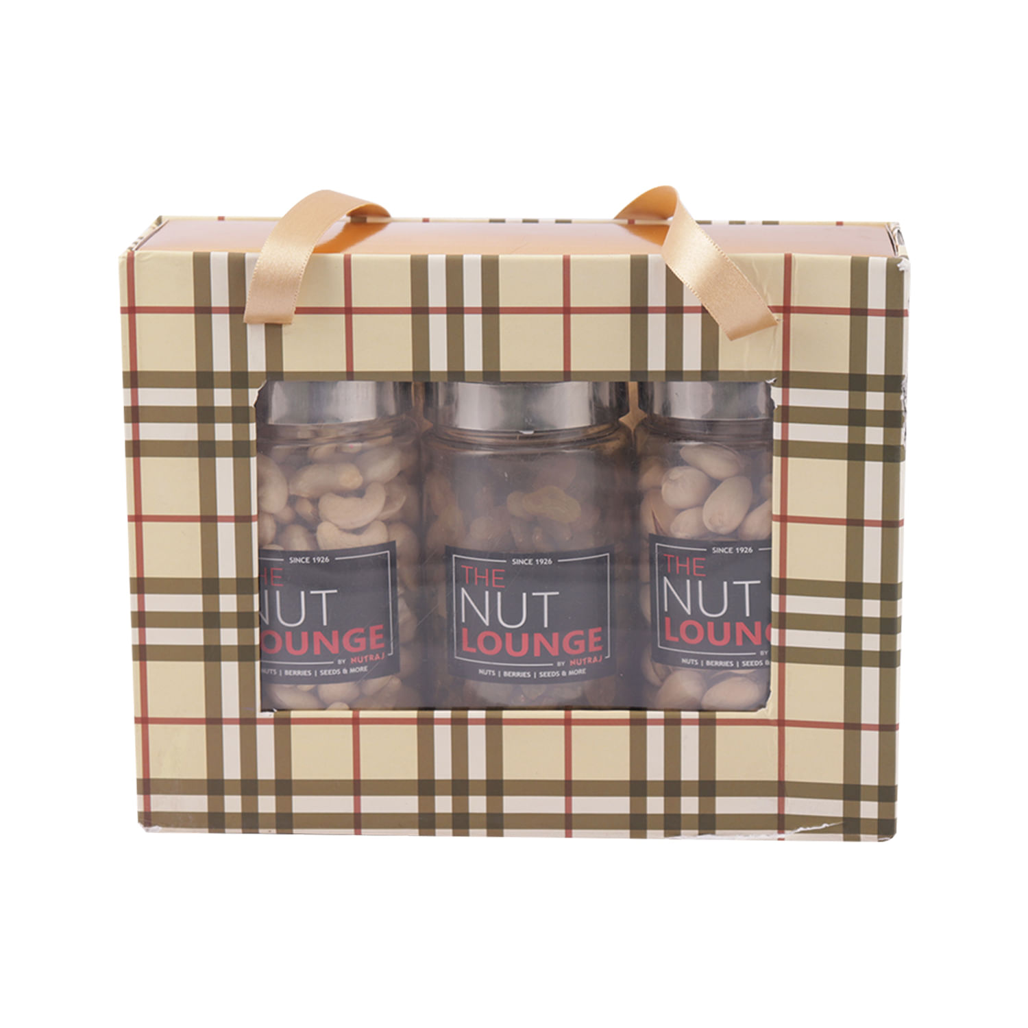 Nutraj Mixed Dry Fruit Gift Pack 600g - (Cashews 200g, Raisins 200g, Pistachio 200g)