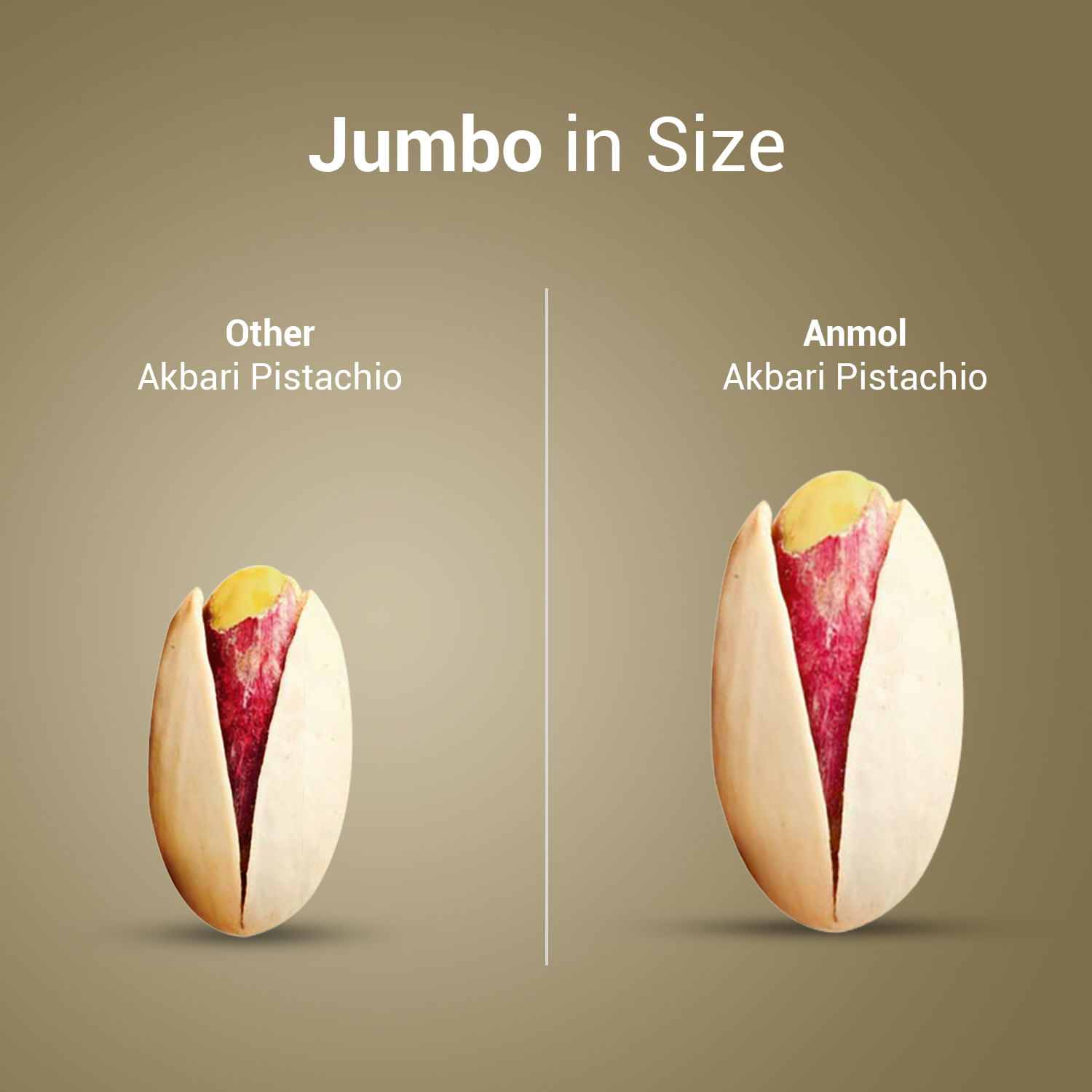 Anmol  Premium Akbari Pistachio Roasted & Salted (Jumbo Size - Rare Crop - Natural)