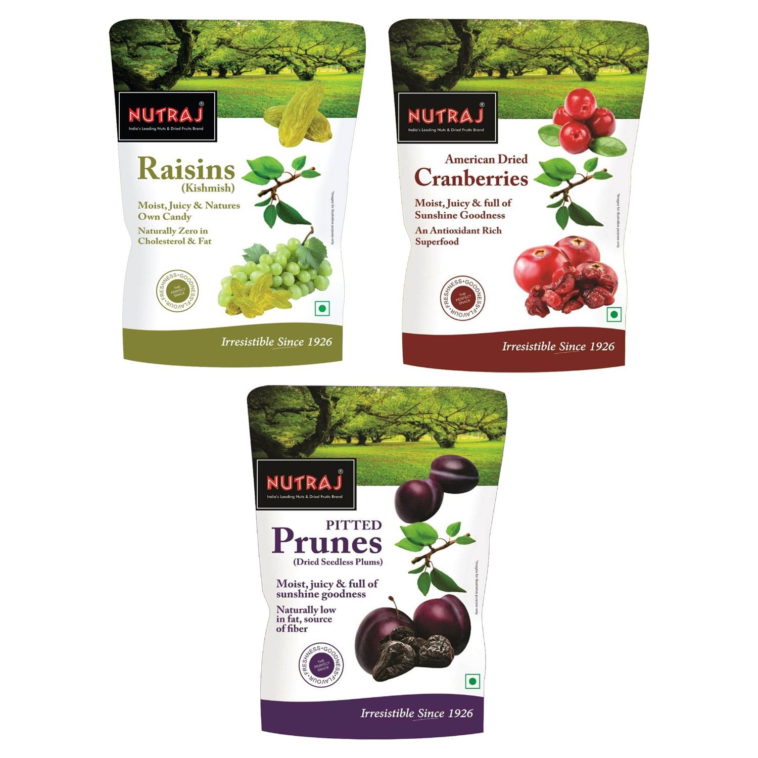 Nutraj Delicious Dried Fruits Combo Pack 630g - Dried Pitted Prunes 200g, Raisins 250g, Dried Cranberries 180g