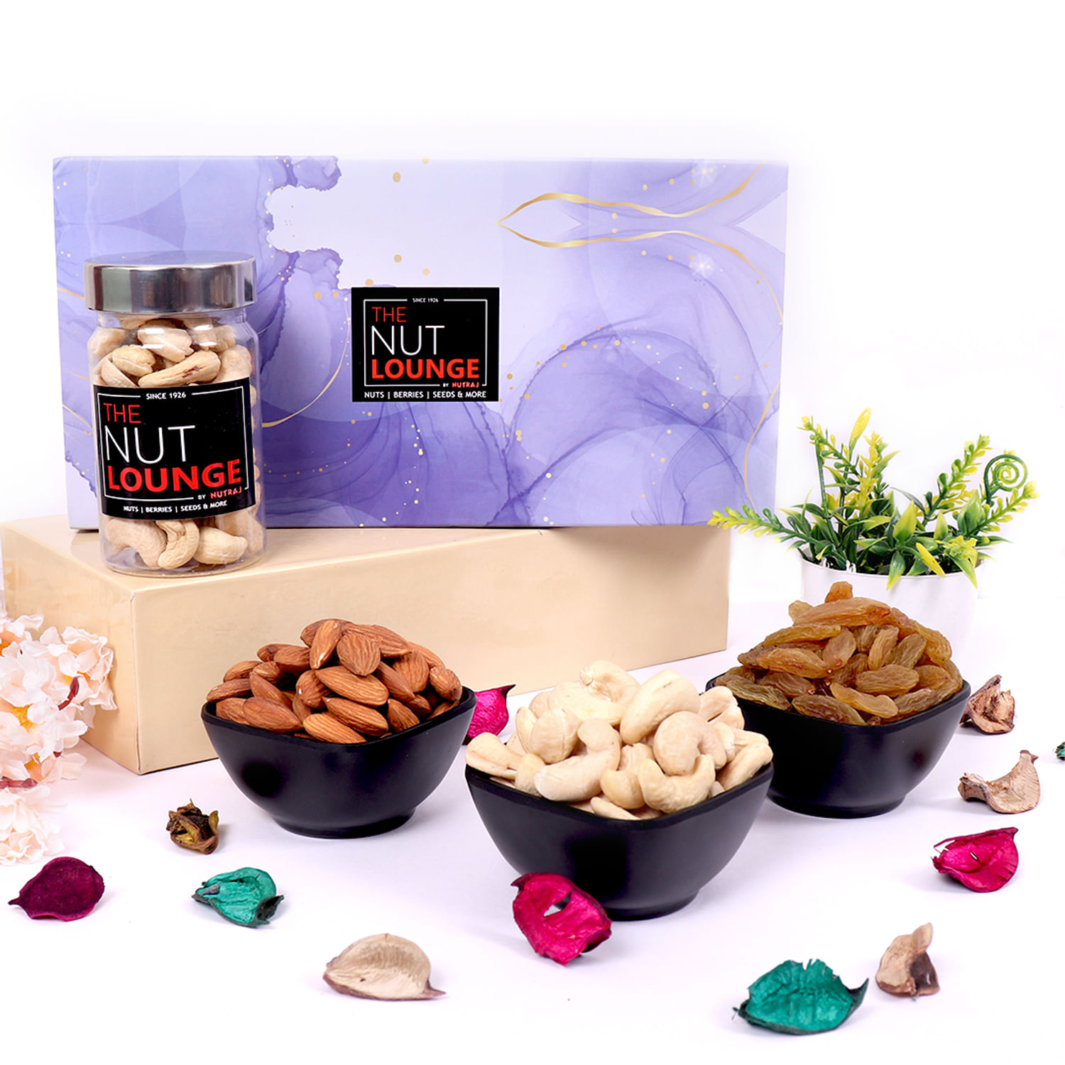 Everyday Nutty Diwali Gift Box