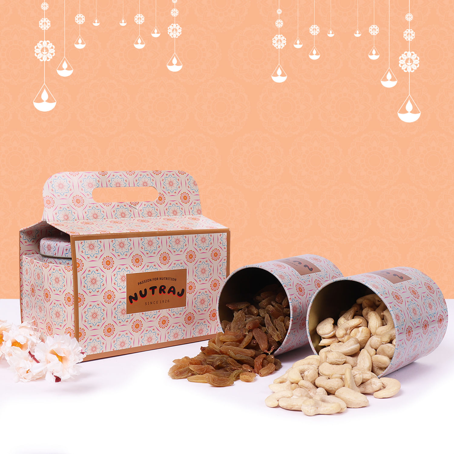 Everyday Nutty Delight Diwali Gift Combo