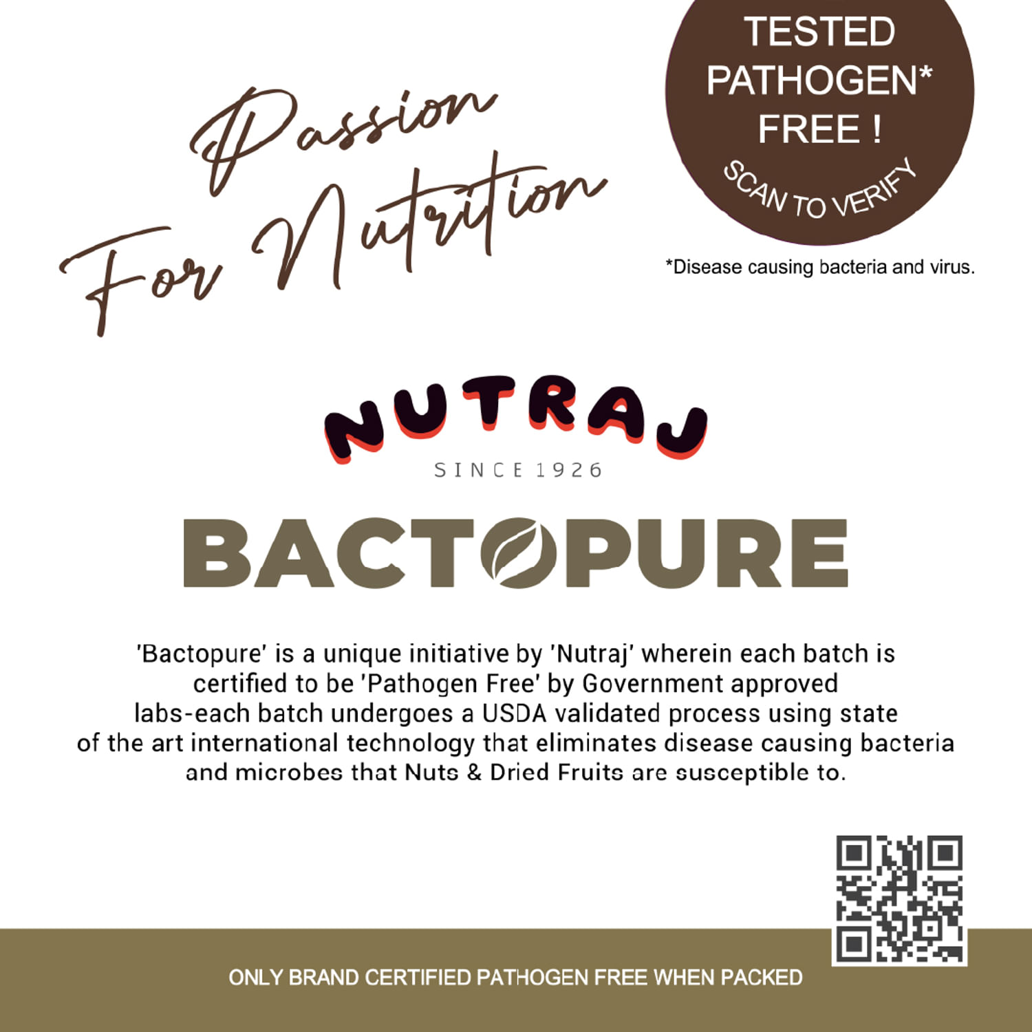 Bactopure Walnut Inshell 500 gm - Pack of 2